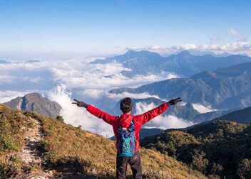 Global Automotive Market Grows to $600 Billion - Directorist